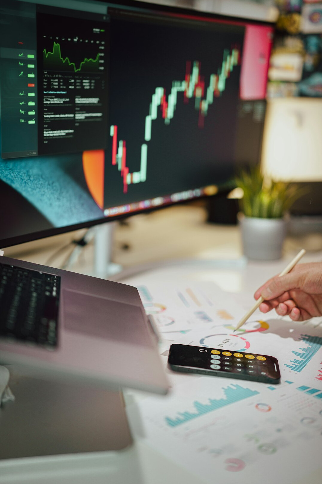 person reviewing financial charts