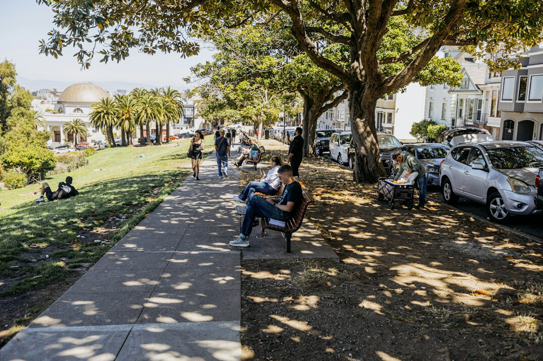 person reading book in park